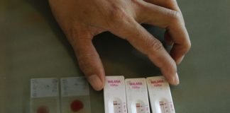 Governador de Nampula apela maior participação da população na campanha contra malária em crianças