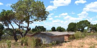 Posse de Terra em Nampula: Estrangeiros continuam a usurpar terra de moçambicanos diante de uma justiça inoperante Populacao de Nampula queixa-se de usurpacao de terra