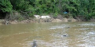 Insólito em Nampula: Mulher transforma-se em cobra por roubar dinheiro do seu marido UMa mulher transformou-se em cobra depois de roubar dinheiro do seu marido