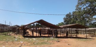 Para proteger a população da covid-19: Vahanle encerra a histórica Feira Dominical feira domical de Nampula vende tudo