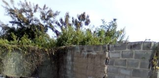 Município de Nampula adquire asfalto fora do prazo Conselho Municipal de Nampula adquire asfalto fora do prazo