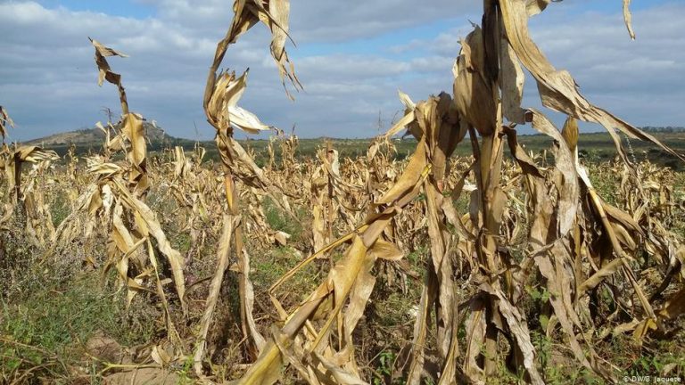 Governo de Monapo confirma insegurança alimentar
