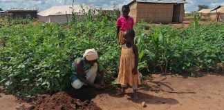 Dia internacional da criança: A triste realidade porque passam as crianças de Nampula