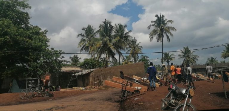 AQUA desgovernada em Nampula: Ausência de um comando competente leva estado a perder receitas com a fiscalização florestal