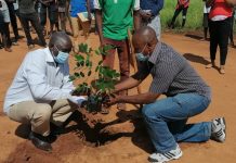 Serviços Provinciais do Ambiente de Nampula arborizam centro de deslocados de Corrane
