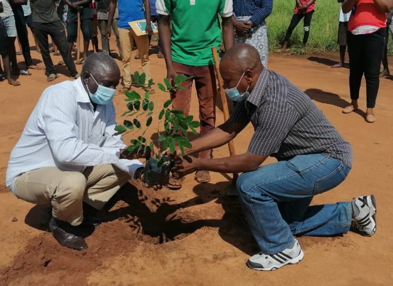 Serviços Provinciais do Ambiente de Nampula arborizam centro de deslocados de Corrane