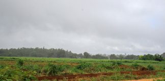 Acesso a terra exige novas dinâmicas em Nampula: Edilidade pondera fazer cumprir a lei para retirar áreas ociosas