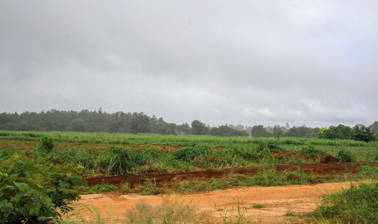 Acesso a terra exige novas dinâmicas em Nampula: Edilidade pondera fazer cumprir a lei para retirar áreas ociosas