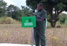 Nyusi diz que insurgentes não atacaram a sua “terra natal”