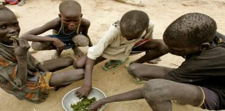 Mais de quatro mil crianças sofrem de desnutrição aguda na província de Nampula