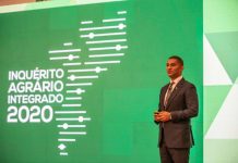 Dados do sector agrário: Moçambique viveu com projecções largamente especulativas