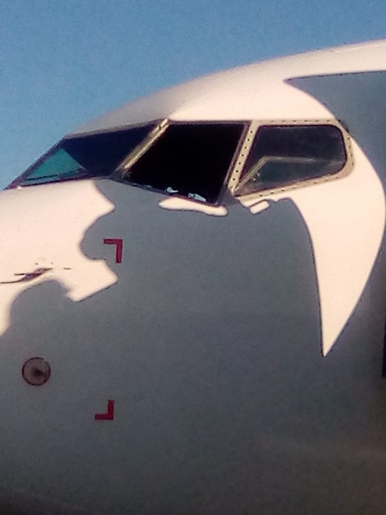 CDD exige ao IACM esclarecimento sobre a segurança do transporte aéreo em Moçambique