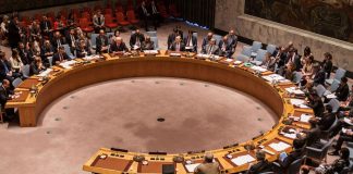 Nova Democracia saúda candidatura de Moçambique à membro não permanente do Conselho de Segurança das Nações Unidas