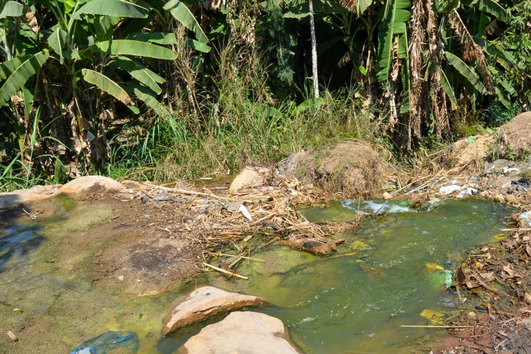 Nova Texmoque polui rio Nicutha e afecta produção de hortícolas na cidade de Nampula