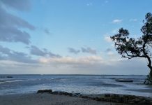 Polícia sem dados sobre a embarcação que naufragou em Memba naufragio em Memba