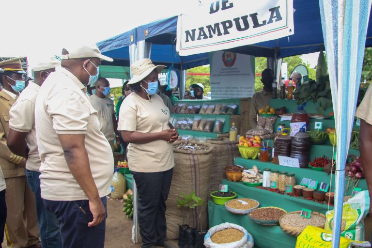 Campanha agrária 2021/2022: Nampula prevê aumento da produção em mais de 7%