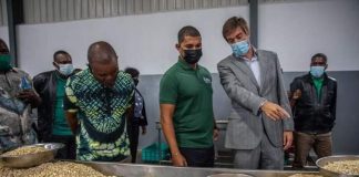 Exportações de produtos agrícolas crescem 127 milhões de dólares em Moçambique