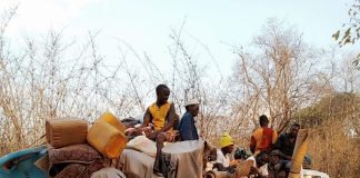 Elementos da Força Local atiram contra uma mulher no distrito de Nangade