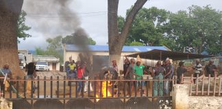 Polícia camarária “sufoca” perdiz em Malema