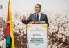 Sector do algodão duplica produção em Moçambique