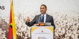 Sector do algodão duplica produção em Moçambique