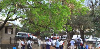 Timidez e falta de confiança obriga alunas da escola secundária de Nampula a não denunciar casos de assédio sexual