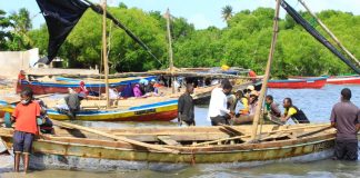 Pesca ilegal nas Ilhas primeiras e segundas continua a preocupar o governo