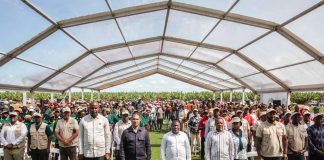 Moçambique: Milho registou um crescimento de produção na ordem dos 19% na campanha agrária 2022/2023