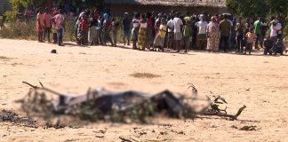 Marrere tira da circulação um malfeitor