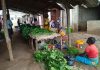 Nampula: Hortícolas comercializadas sem observância de higiene