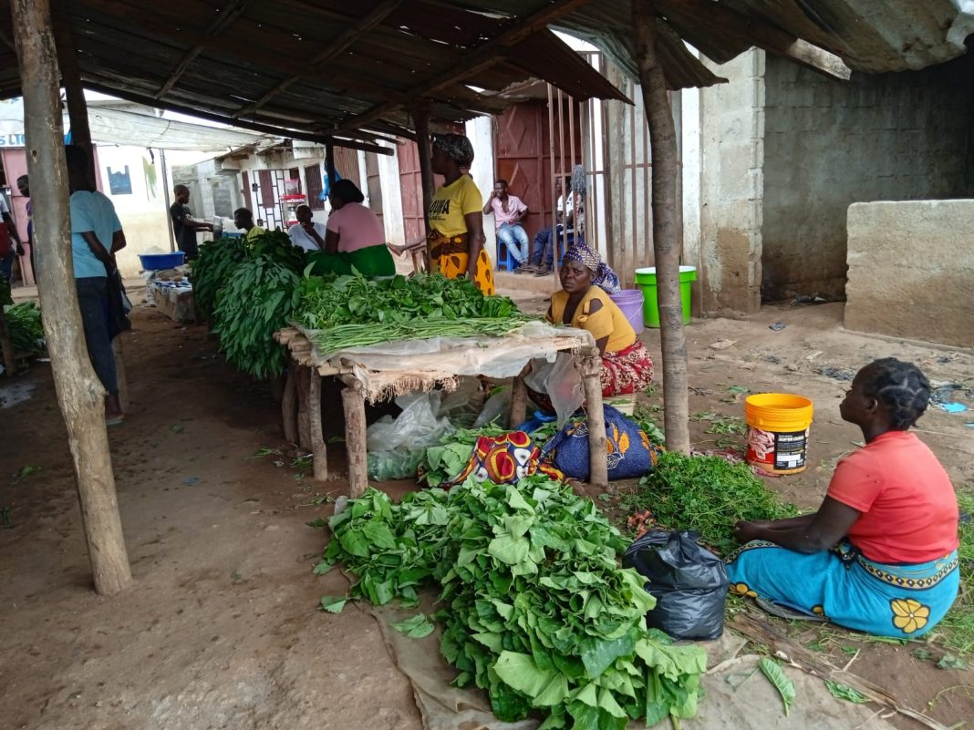 Nampula: Hortícolas comercializadas sem observância de higiene