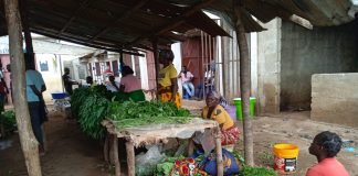 Nampula: Hortícolas comercializadas sem observância de higiene