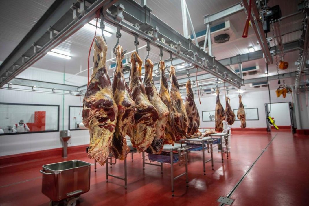 Moçambique: Produção de carne cresceu em 5% em 2023