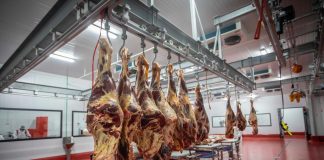 Moçambique: Produção de carne cresceu em 5% em 2023