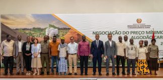 Governo vai subsidiar a compra de algodão em 5,00Mt