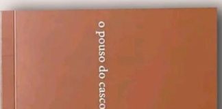 Apresentação da obra “o pouso do casco” de Lino Mukurruza