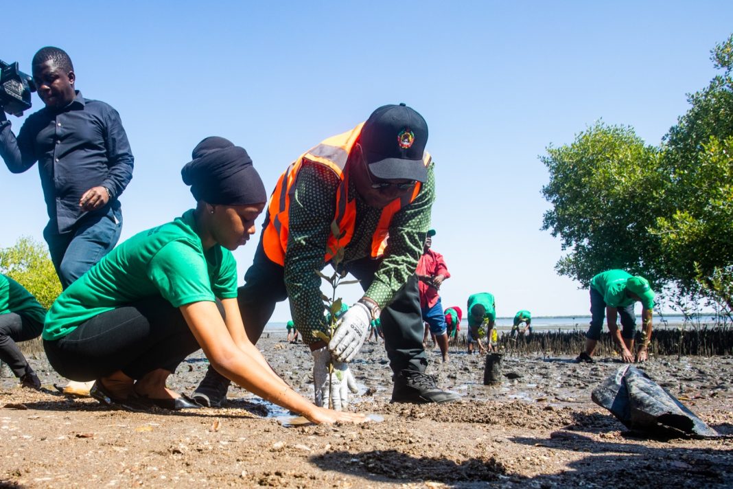 Nyusi apela maior conservação de mangais