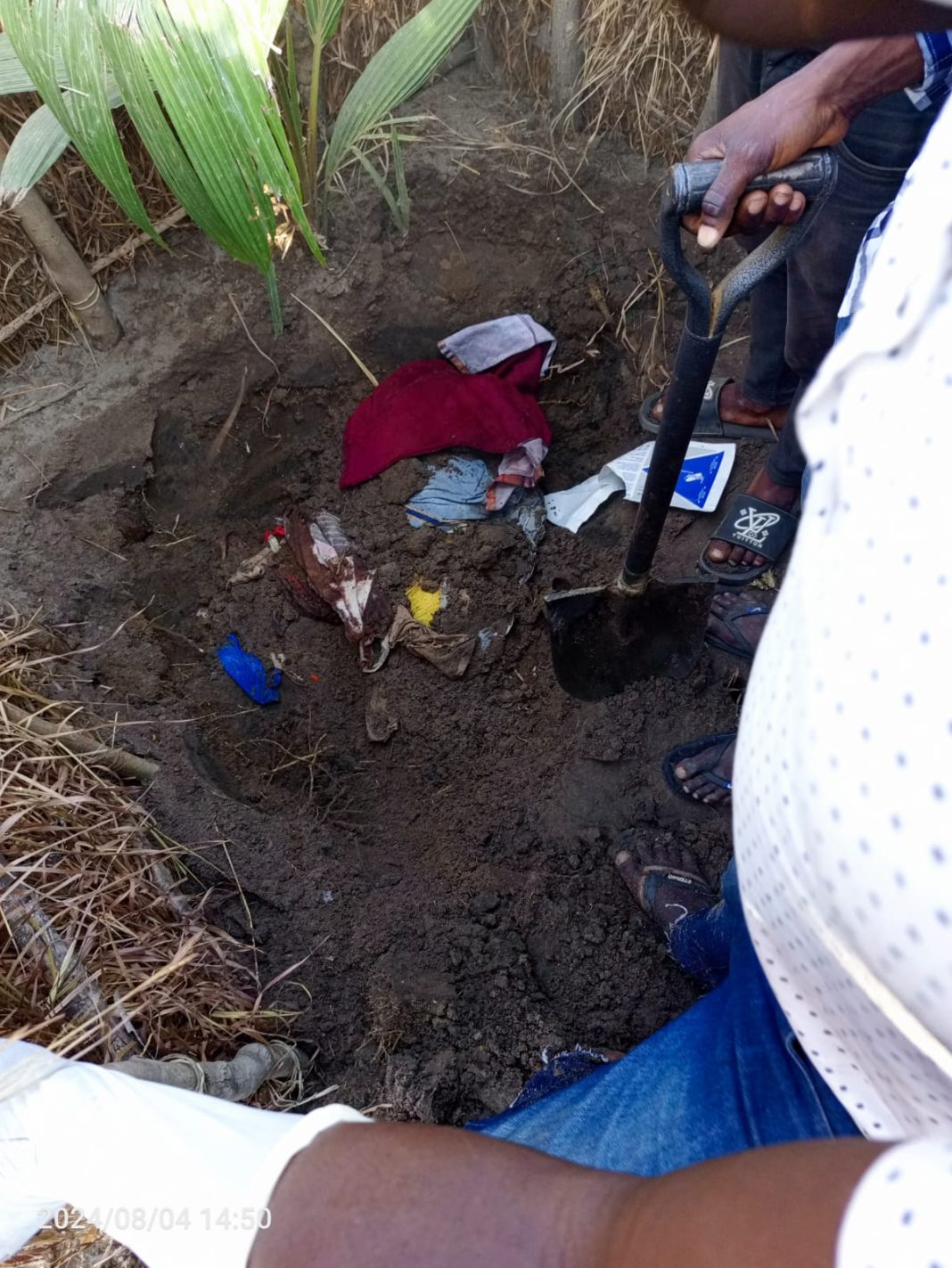 Memba: Mulher mata marido e deposita corpo numa latrina