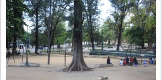 Cidade de Nampula: Comércio informal no jardim Parque dos Continuadores tem dias contados