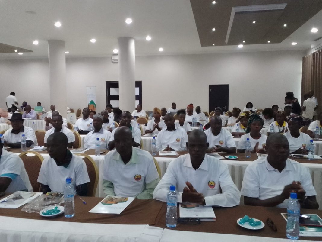 Nampula: Líderes comunitários exigem subsídios para continuarem a lutar contra uniões prematuras