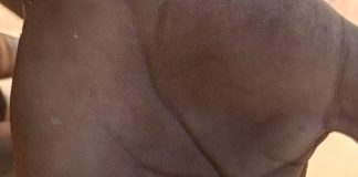 Nampula: MDM e Sociedade Civil repudiam comportamento da PRM neste “4×4”