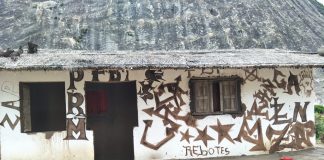 Suposto líder dos Naparamas linchado em Namicopo