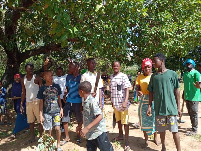 D57EA6CD-E1C2-4D87-A622-6D2EF05F075D