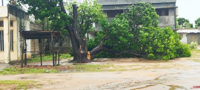 FD8EF572-7F4B-445B-A9B3-003F061BC32C