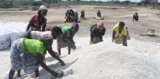 Nampula: Processadores de sal ganham apoio para a melhoria de prácticas