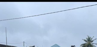 JUDE está a deitar abaixo casas, árvores e infraestruturas sociais em Nampula