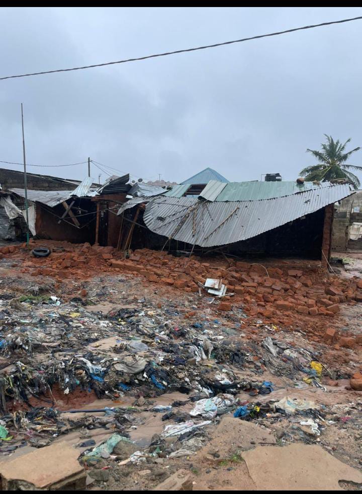 JUDE está a deitar abaixo casas, árvores e infraestruturas sociais em Nampula