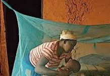 Combate a malaria em Mocímboa da Praia: Distribuídas mais de 30 mil redes mosquiteiras para famílias locais