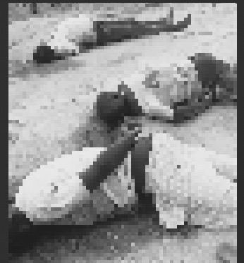 Novo ataque terrorista deixa quatro mortos em Memba