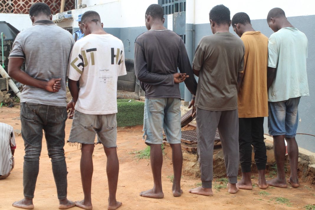 Malema: 7 violadores de menores detidos pela polícia